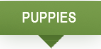 You are on the Puppies page